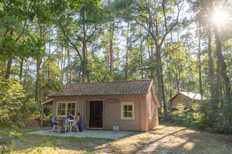 Chalets De Roos Beerze Εξωτερικό φωτογραφία